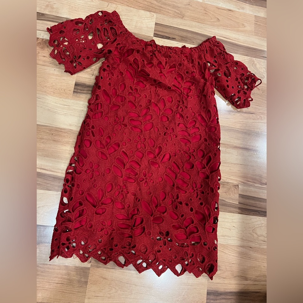 Fall lace dress